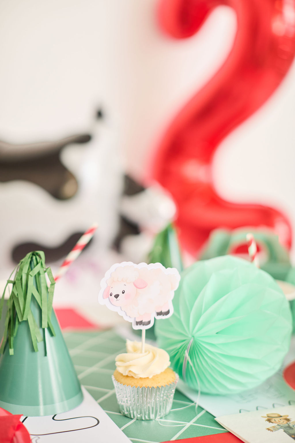 Country Kids Party Box