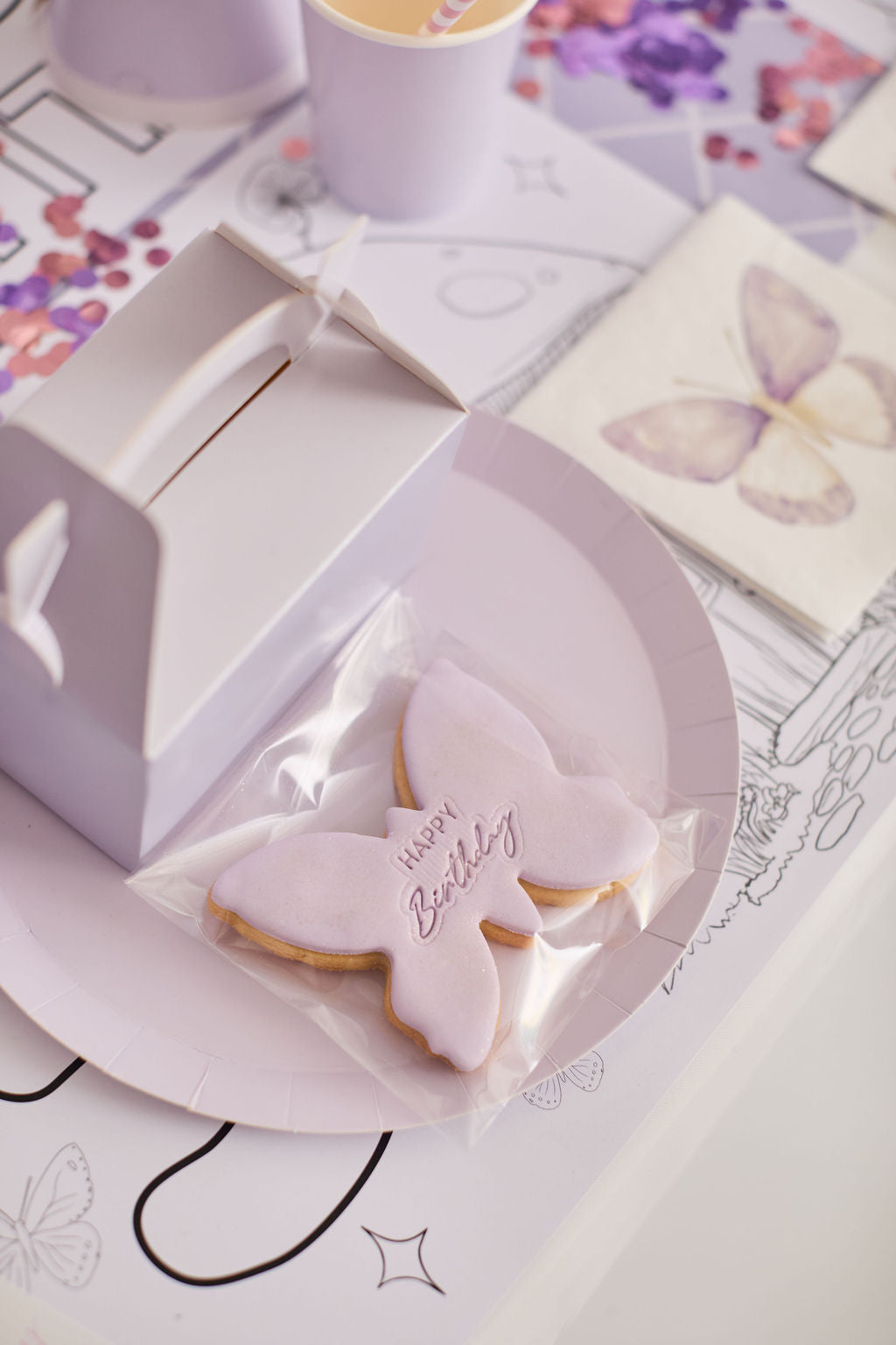 Whimsical Wings Party Box
