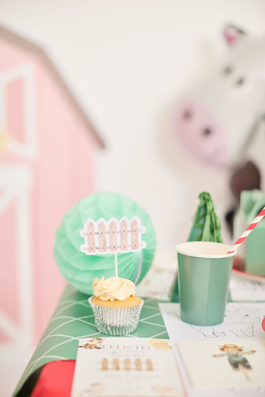 Country Kids Party Box