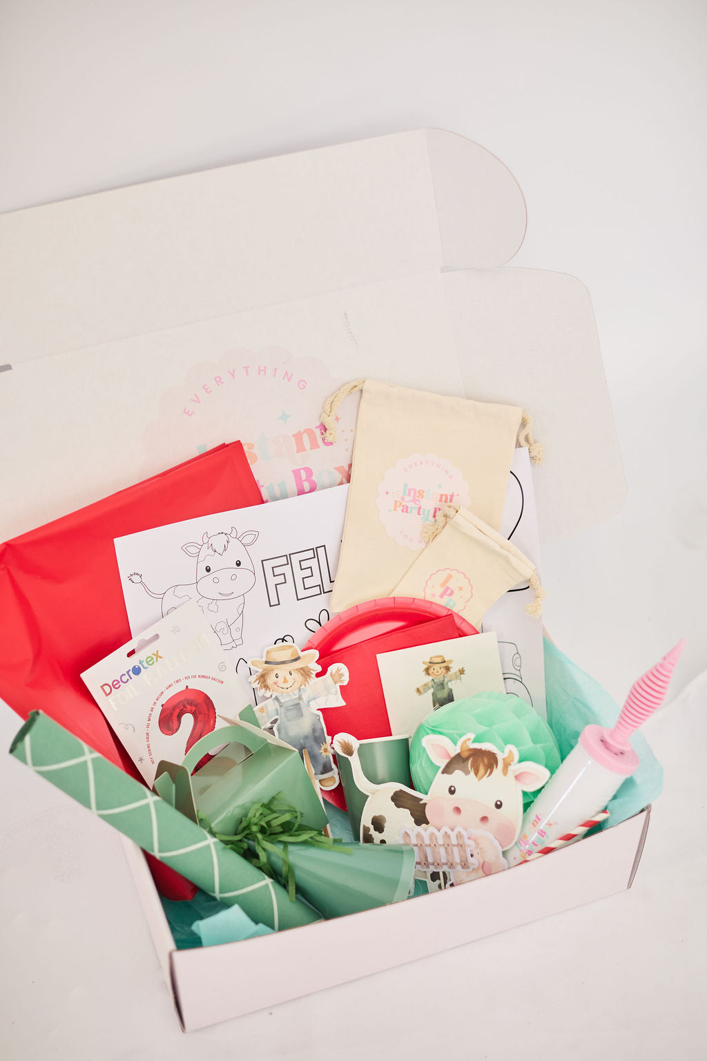 Country Kids Party Box