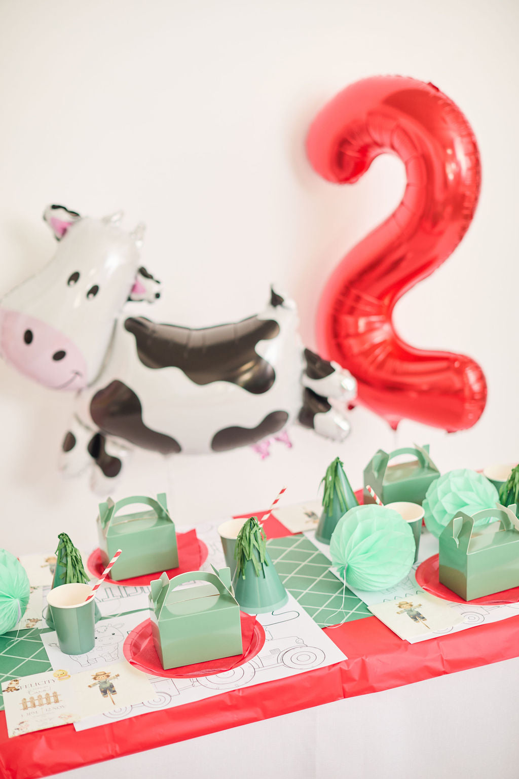 Country Kids Party Box