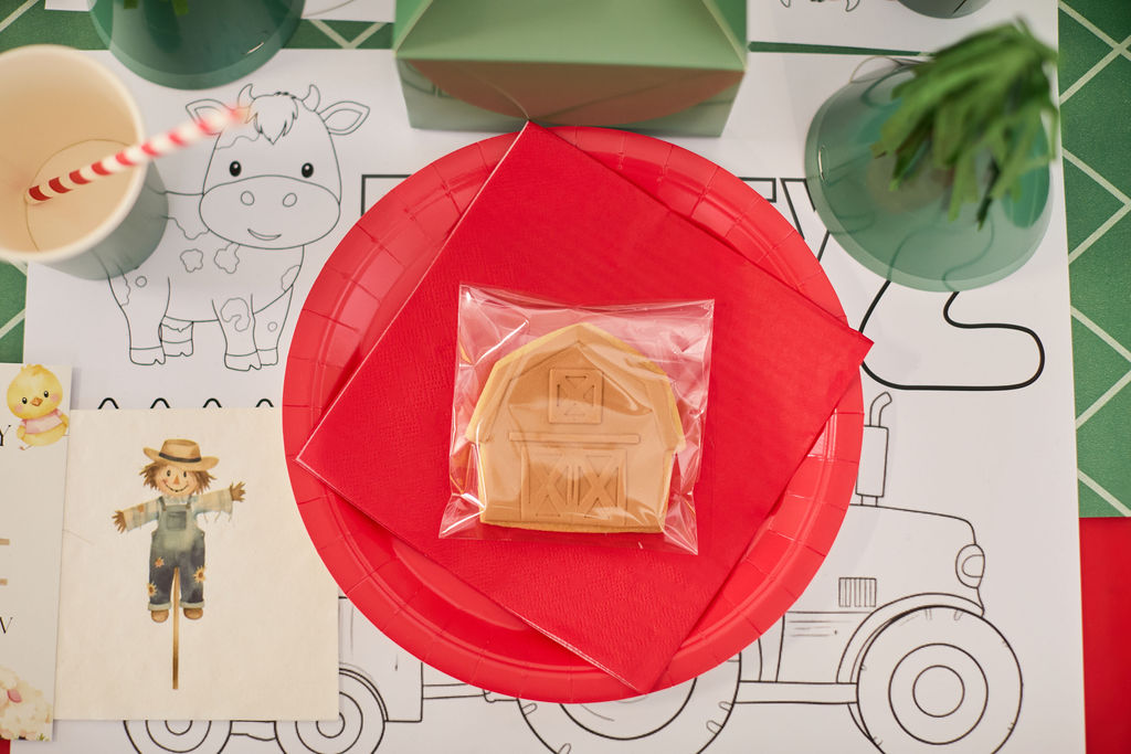 Country Kids Party Box